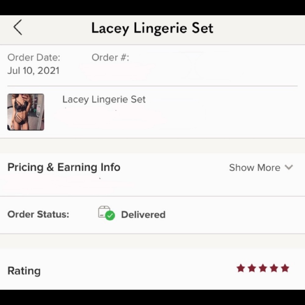 Lacey Lingerie Set - Picture 5 of 6